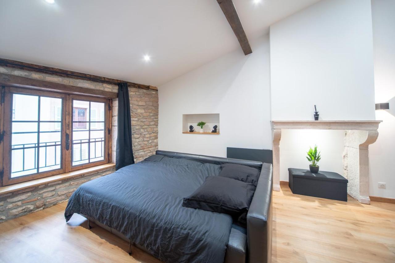 Loft Au Coeur Du Centre Ville Mâcon 외부 사진